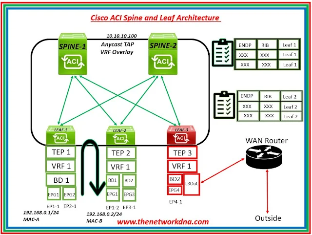 Cisco ACI Basics: Endpoints and Forwarding Tables Explained
