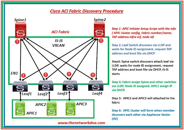 Cisco ACI Fabric APIC Discovery