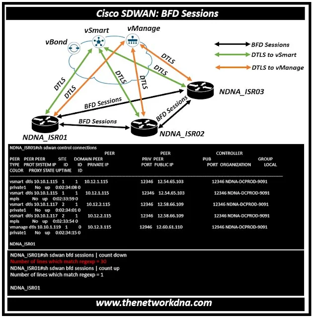 Cisco SDWAN : BFD Sessions Cisco SDWAN : BFD Sessions