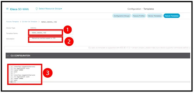 Cisco SDWAN Feature CLI Add-on Template