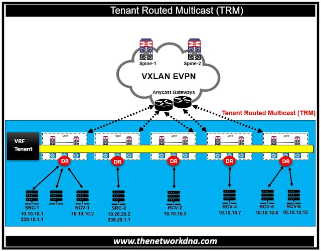 VXLAN Tenant Routed Multicast